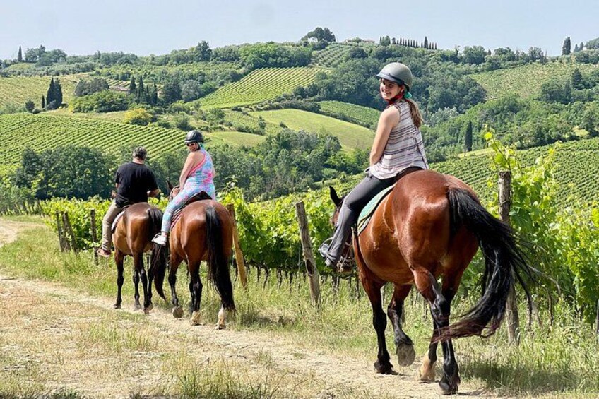 Horseback Ride, visit S.Gimignano, Lunch wine Tasting &much more 1