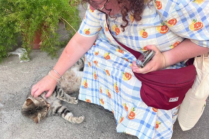 A person in a checkered dress with fruit patterns, holding a phone, and petting a cat. 5