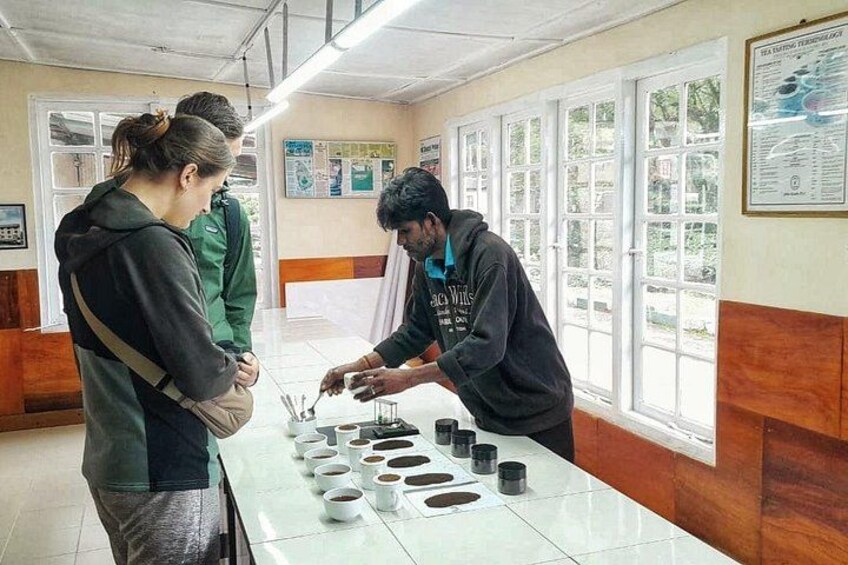 A person pouring liquid into cups on a table in a room with windows and posters on the wall. 1