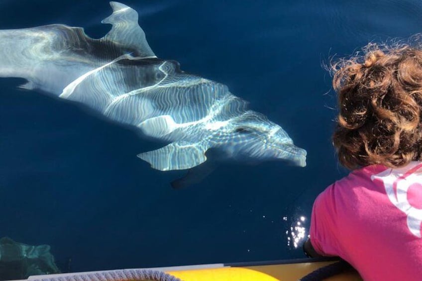 Una persona che osserva una manta nuotare nell'oceano. 1