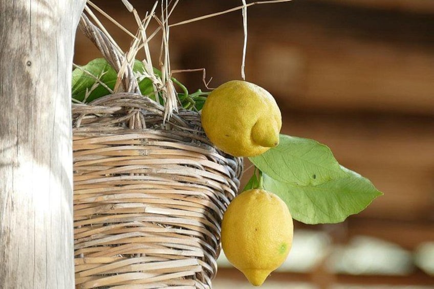 A wicker basket with lemons and a green leaf. 5