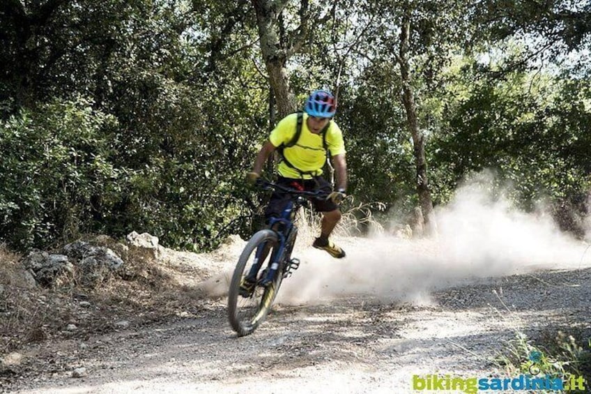 E-bike Excursion at Natural Park of Porto Conte - Punta Giglio - E-MTB Adventure 2