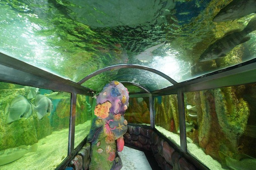 An underwater aquarium with glass walls, a large colorful sculpture, and various fish. 4