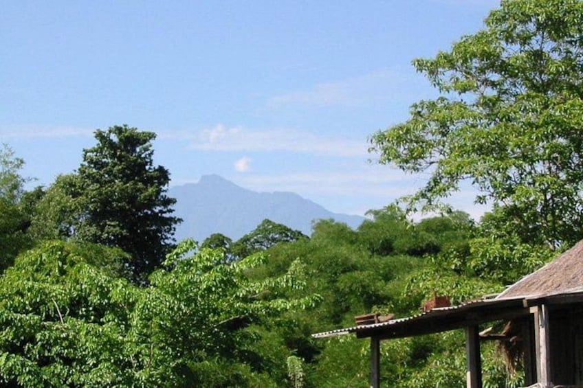 A lush green landscape with a mountain in the background and a wooden structure in the foreground. 2