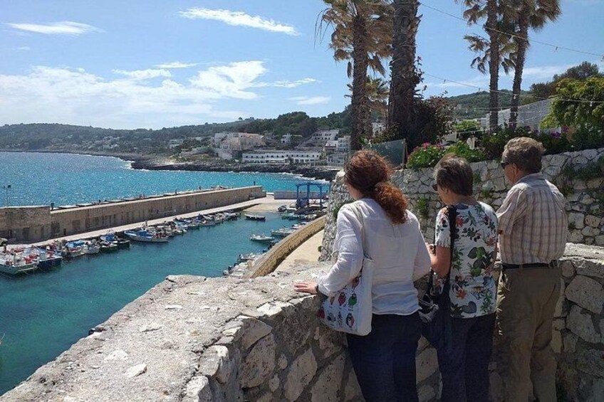A coastal area with a stone wall, a dock with boats, and a clear blue sea. 1