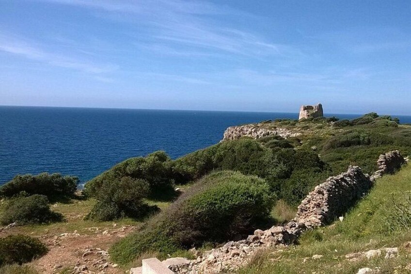 A coastal landscape with a stone structure on a hill, a clear blue sky, and the sea in the background. 4