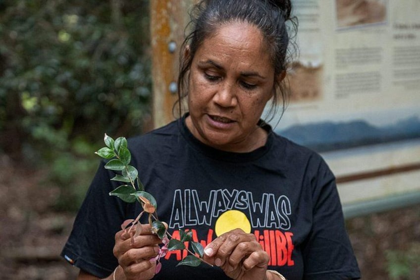 Cape Byron Aboriginal Tour 4
