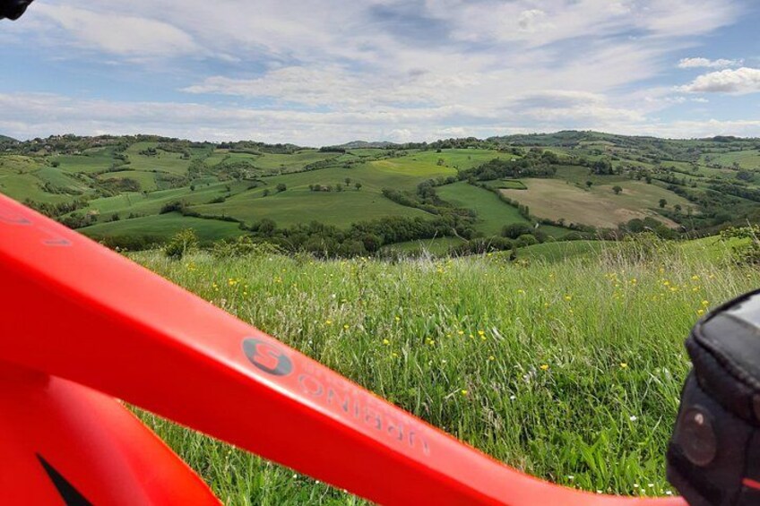 EBike tour with organic wine tasting 3