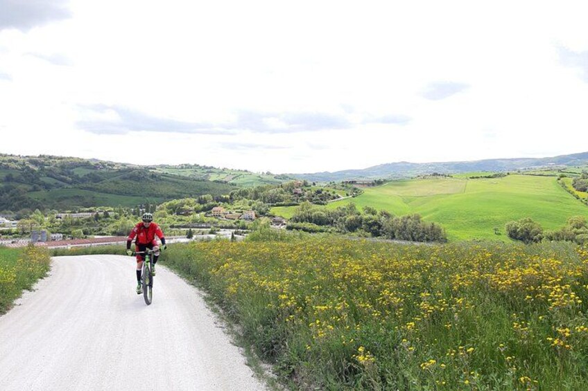 EBike tour with organic wine tasting 5