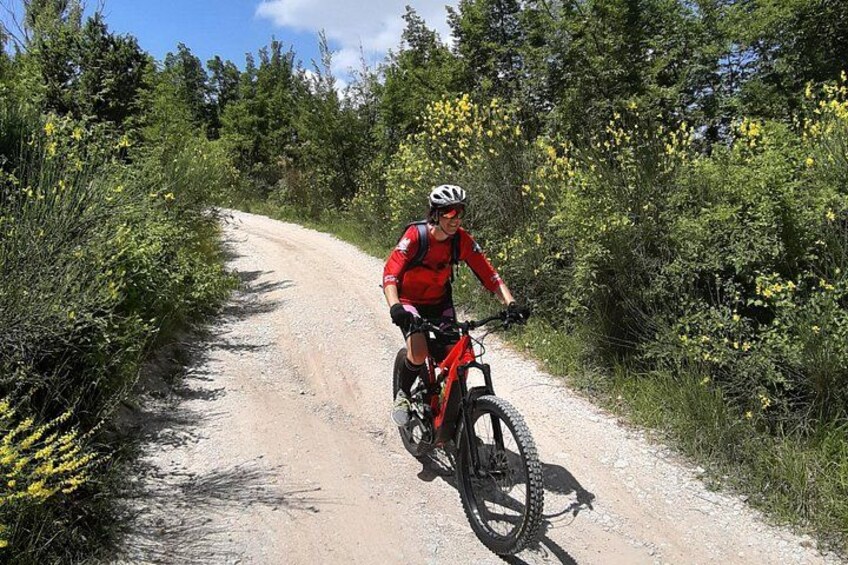 Tour in eBike Riserva Gola del Furlo and Tartufo 2