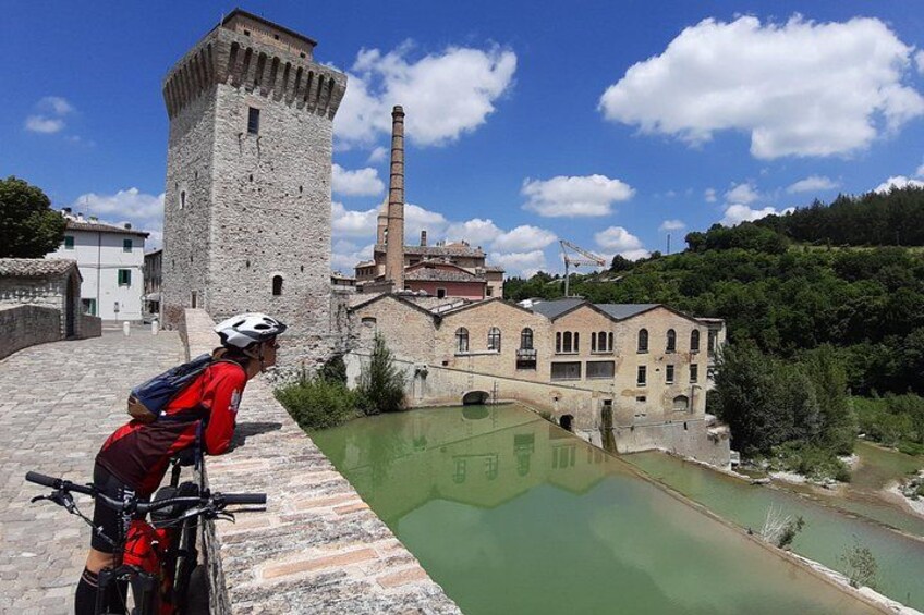 Tour in eBike Riserva Gola del Furlo and Tartufo 4