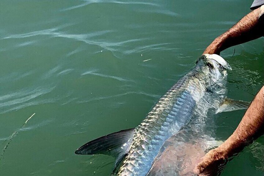 A large fish being held by a person. 5
