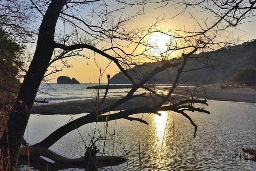 A sunset over a calm body of water with a tree branch in the foreground and a distant landmass. 1