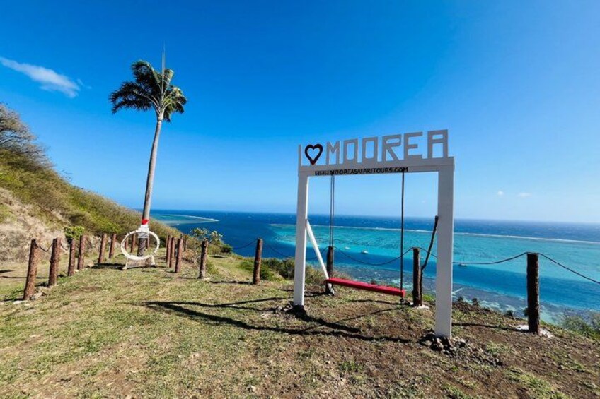 ALBERT TOURS: Excursion 4x4 safari with private SWING view point 3