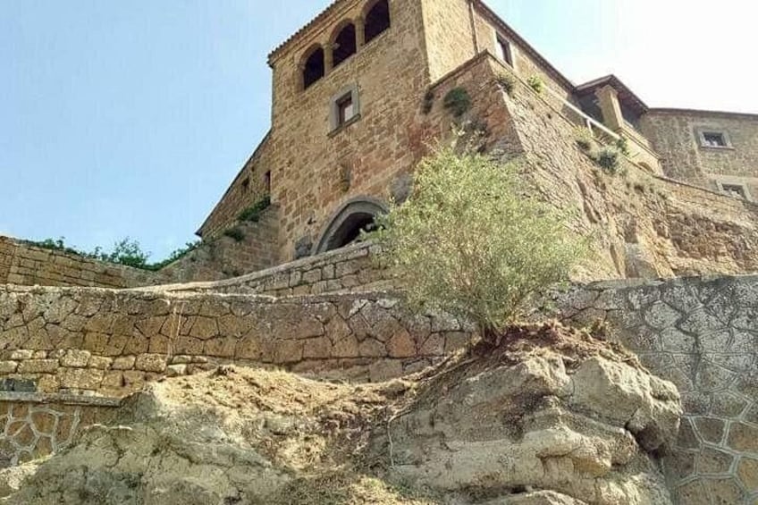 A stone building with a bell tower, a stone wall, and a small tree. 4