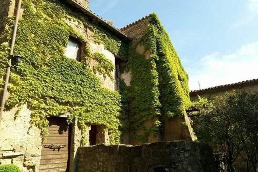 A building partially covered with green ivy, a stone wall, and a clear sky. 3
