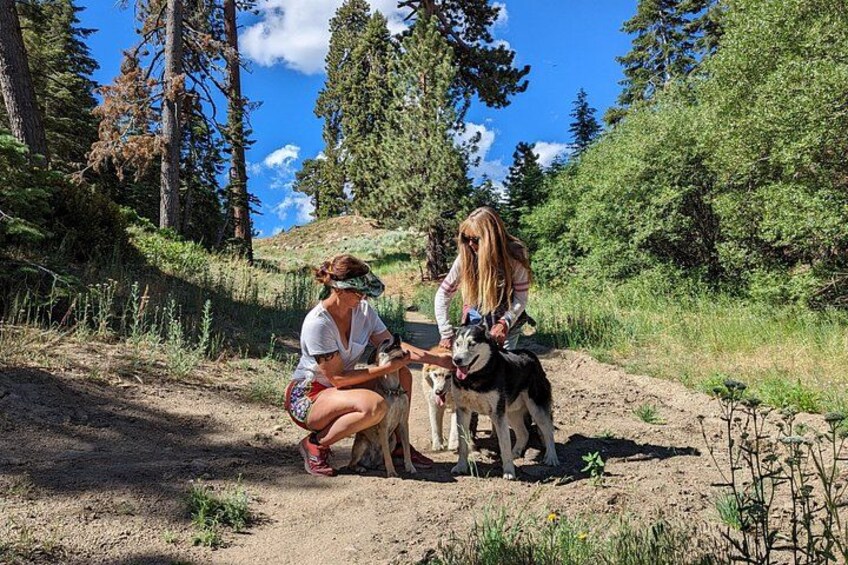 Due persone che interagiscono con un cane su un sentiero sterrato, circondato da alberi. 4