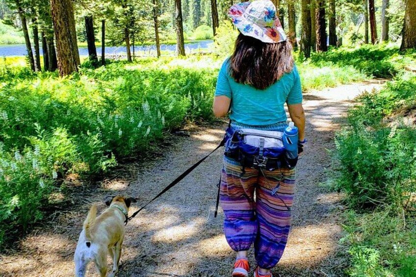 Una persona che passeggia con un cane su un sentiero nel bosco. 3