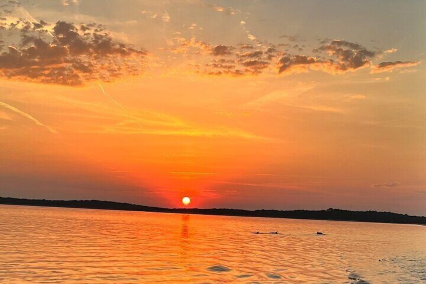 Dolphin watching Sunset Boat Tour - The Ultimate Boat Experience in Pula 2
