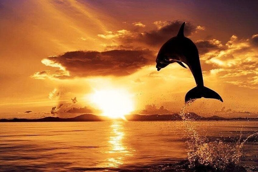 Sunset & Dolphin Tour With Europa Boat 4