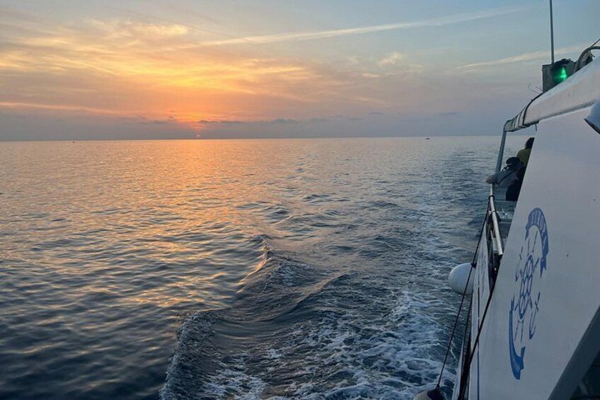 Discover Pula¨s Best Boat Tour - Boat Europa 2