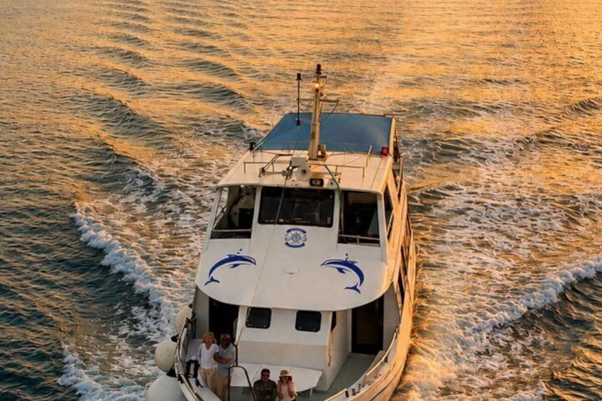 Dolphin Watching & Sunset Boat Tour With Drinks & optional Dinner 5
