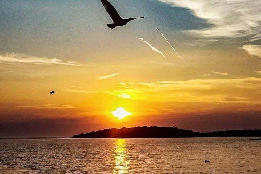 Sunset Brijuni National park -Boat Europa - The Ultimate Boat Experience in Pula 3