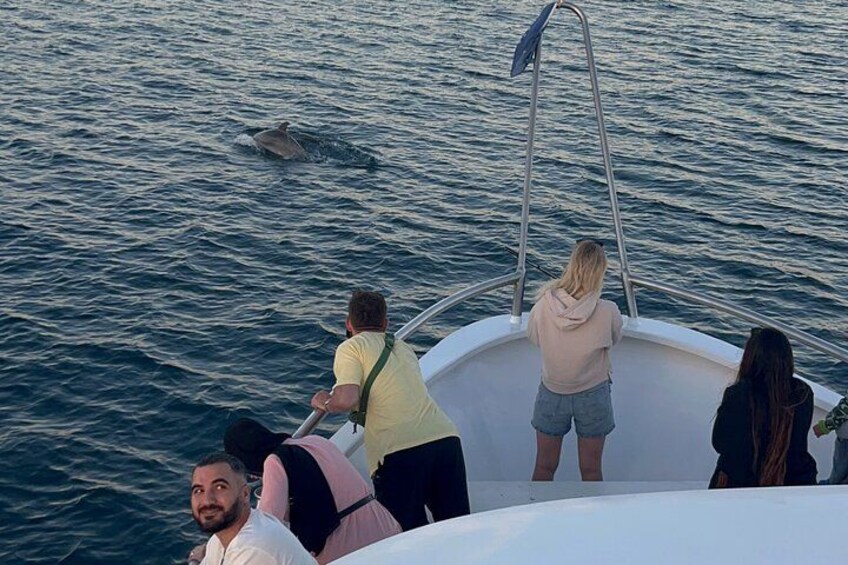 A boat with people on deck, a person steering, and a dolphin in the water. 3