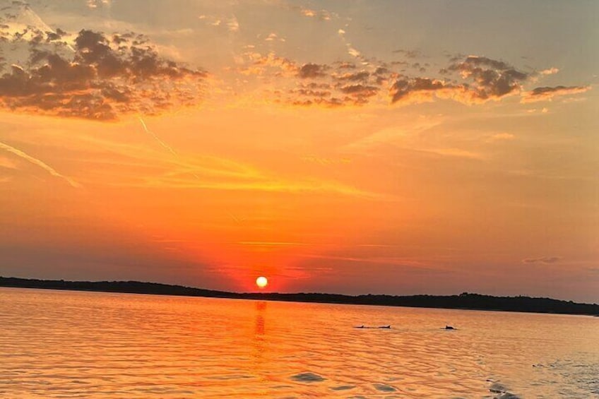 Dolphin watching Sunset Boat Tour - The Ultimate Boat Experience in Pula 2