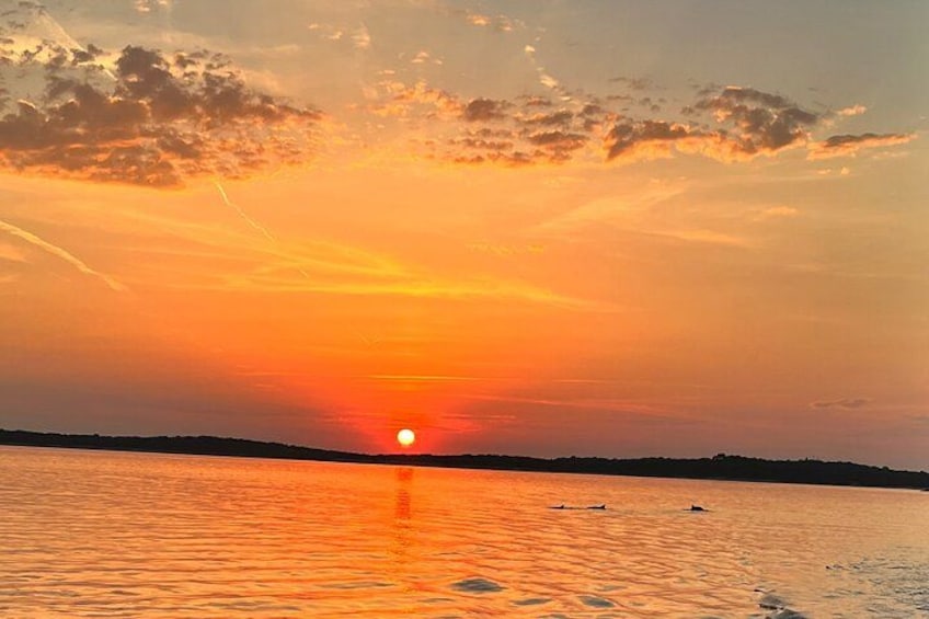 Dolphin watching Sunset Boat Tour - The Ultimate Boat Experience in Pula 4