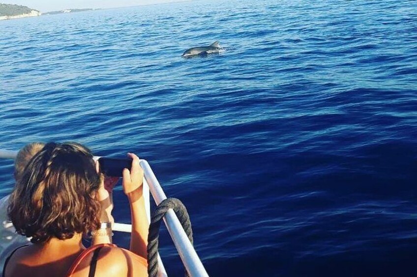A person taking a photo of a dolphin in the ocean. 4