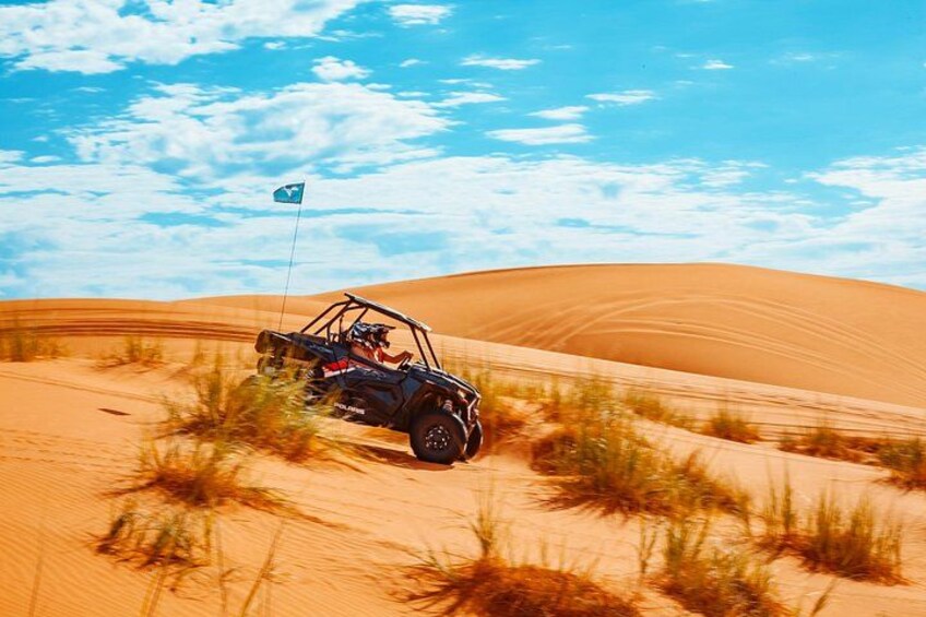Sand Dunes 5