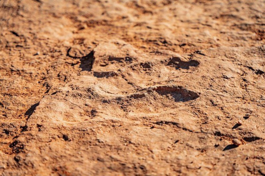 A close-up of a dry, cracked earth surface with visible indentations and patterns. 3
