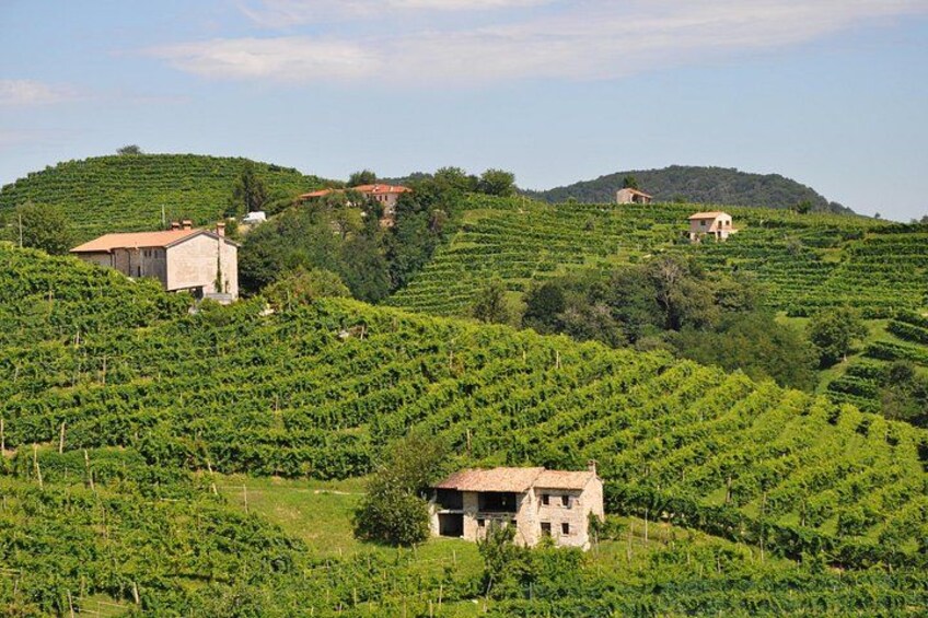 Prosecco region 2