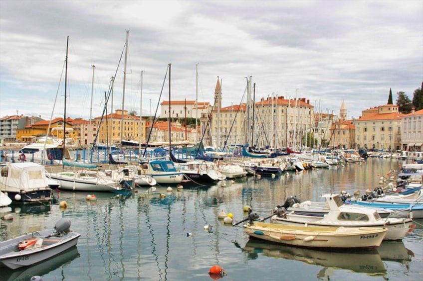 A marina with various boats docked, buildings in the background, and calm water. 2