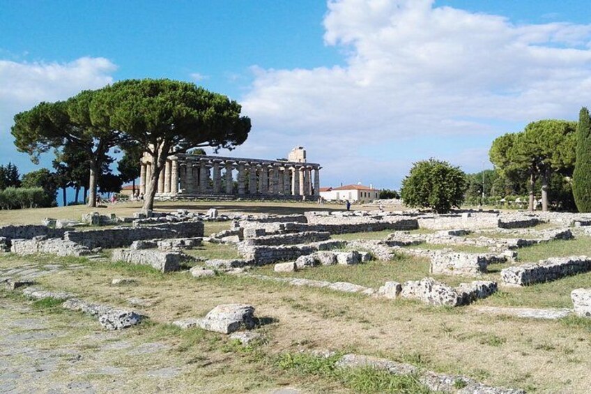 Paestum Temples and Mozzarella Experience 2