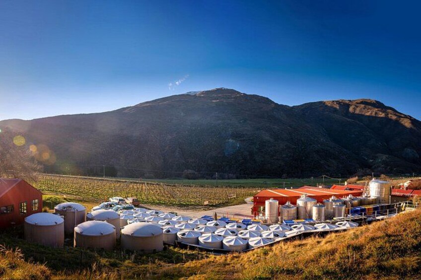 Gibbston Valley Wines - Winery Tour 2