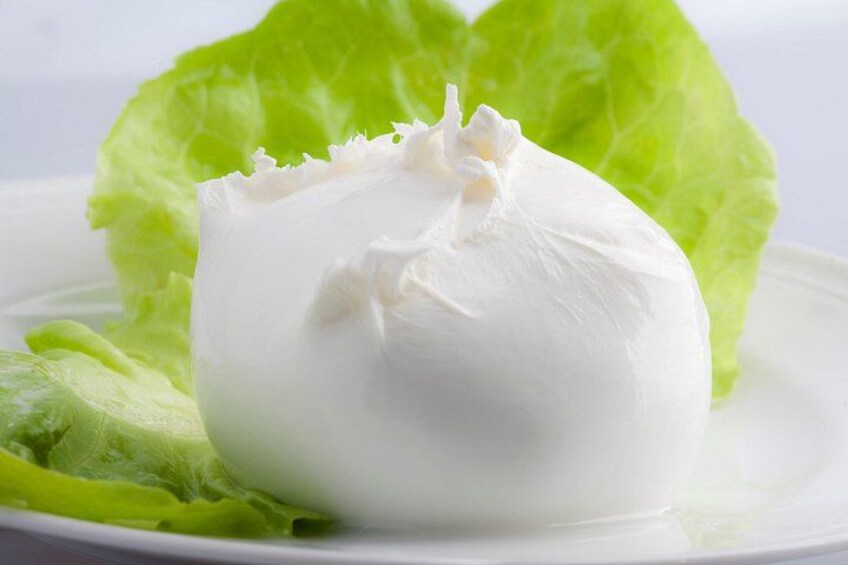 Private guided tour of Paestum and Buffalo Mozzarella farm lunch 4