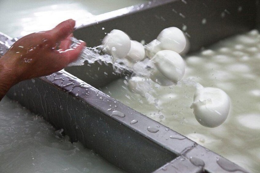 Private guided tour of Paestum and Buffalo Mozzarella farm lunch 2