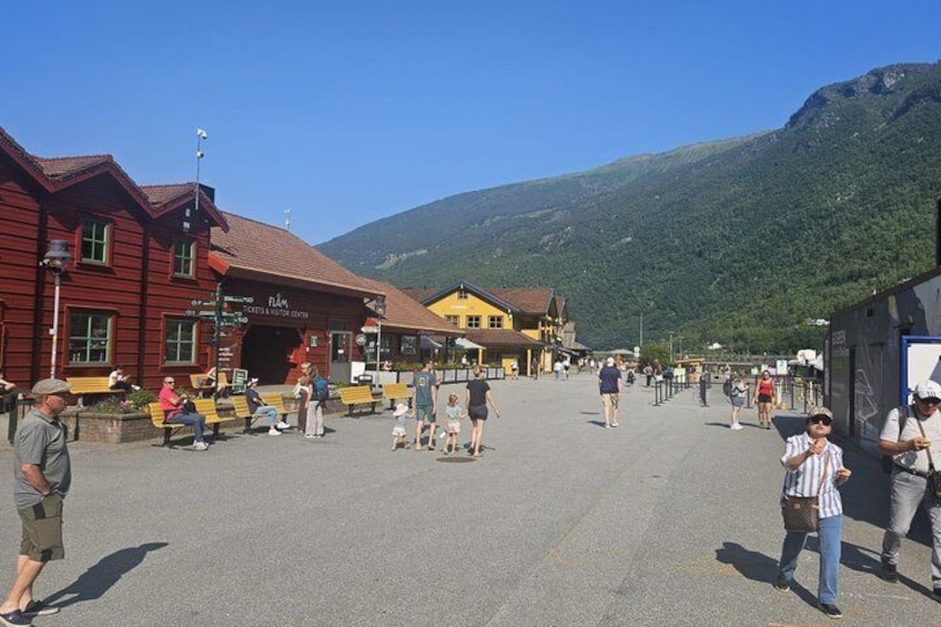 Oslo To Sognefjord Private Full Day Roundtrip Including Flam Railway 2