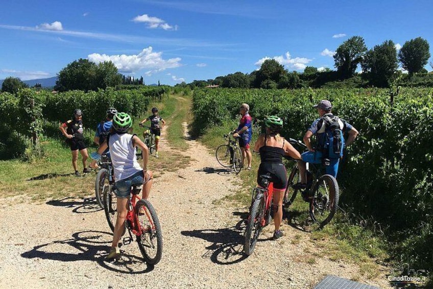 E-Bike Tour and Wine Tasting in Lazise 2