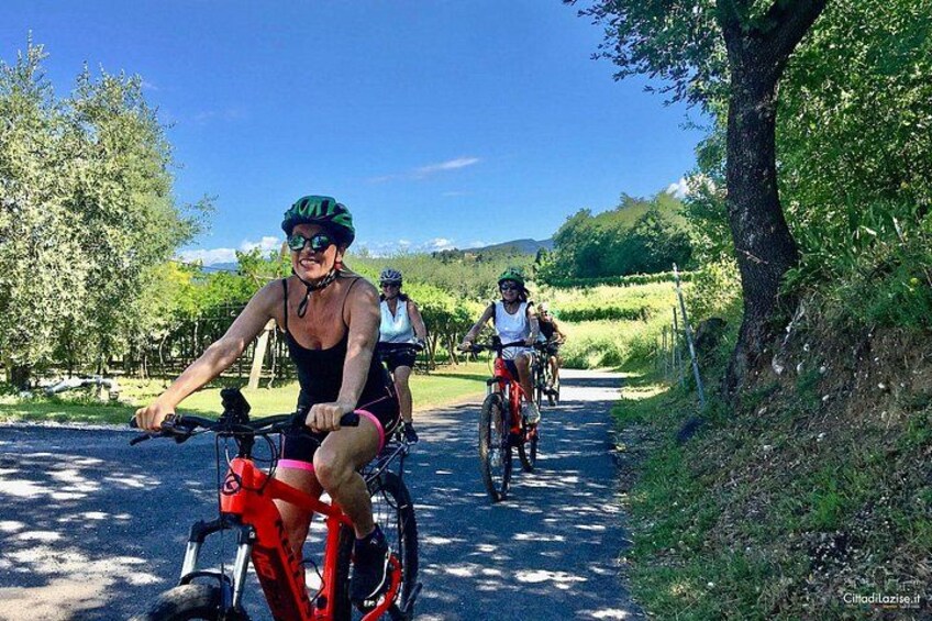 E-Bike Tour and Wine Tasting in Lazise 1