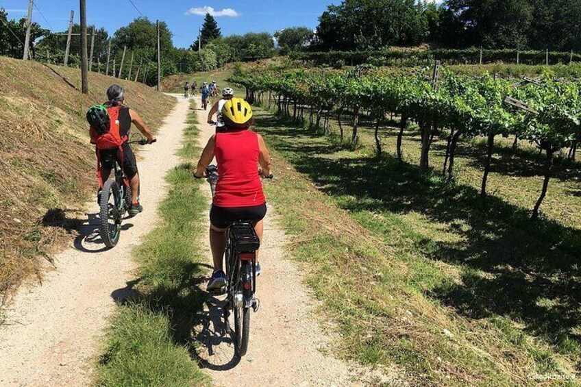 E-Bike Tour and Wine Tasting in Lazise 3