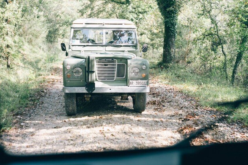 Off road Landscape 1