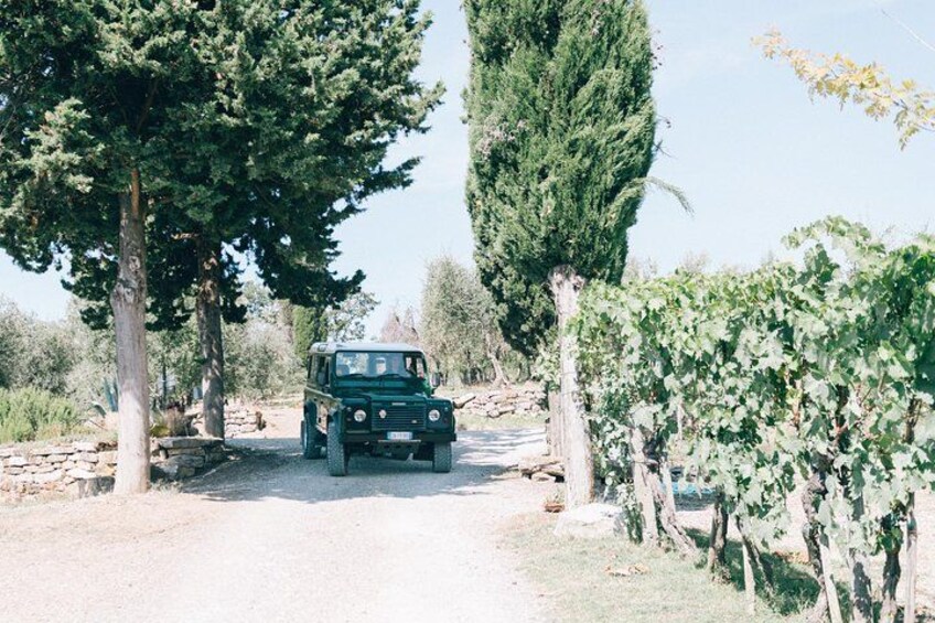 Off Road Landscape 4