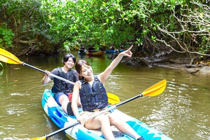 Okinawa Iriomote SUP or Canoe and Sightseeing in Yubujima Island 3