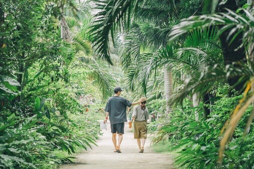 Okinawa Iriomote SUP or Canoe and Sightseeing in Yubujima Island 4