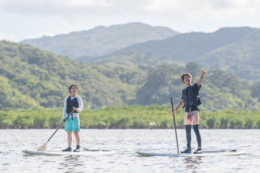 Okinawa Iriomote SUP or Canoe and Sightseeing in Yubujima Island 5