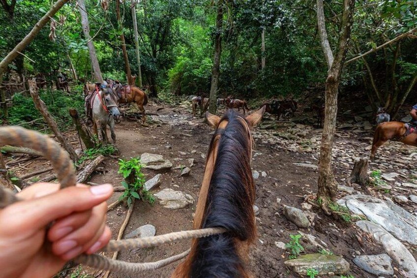 Sarapiqui River Rafting & Horseback Riding Combo. Private Tour 5