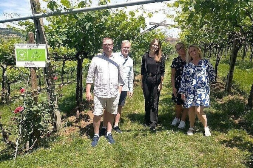 A group of people standing in a vineyard with rows of grapevines and a sign indicating a wine tasting event. 5